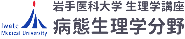 岩手医科大学 生理学講座 病態生理学分野